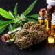 indica strains